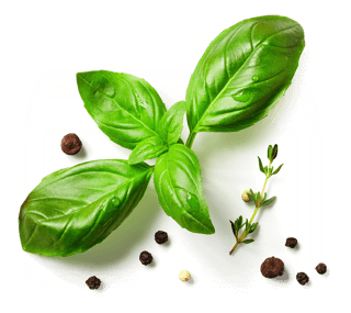 A photo of a fresh basil leaf, a small sprig of thyme and a few red and black peppercorns.